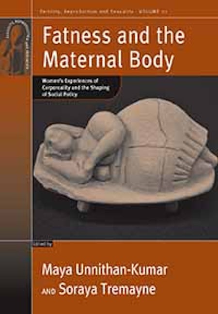 Book cover image for Fatness and the Maternal Body ISBN: 9780857451224